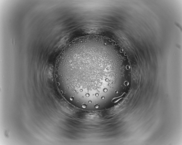 X0000094360175200711021517