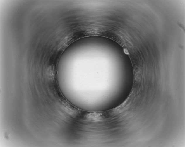 X0000094360179200711021517
