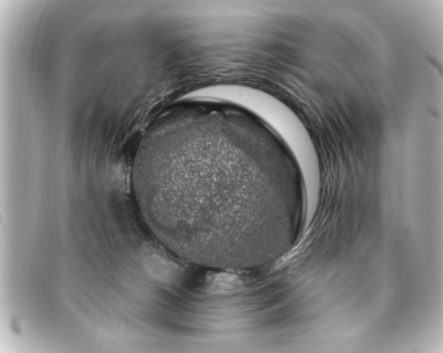X0000094360180200711021517