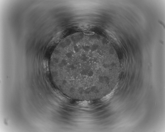 X0000094360182200711021517