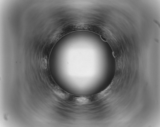 X0000094360183200711021517