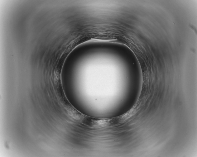 X0000094360184200711021517