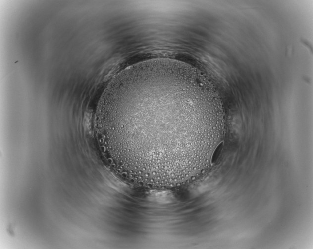 X0000094360185200711021517