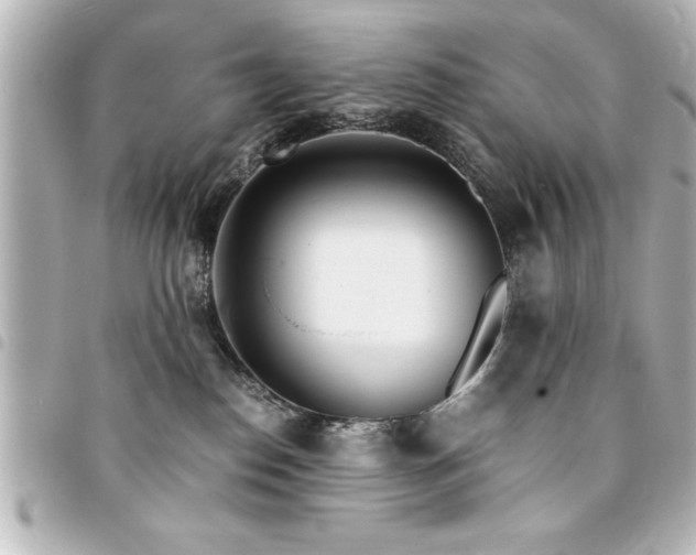 X0000094360186200711021517