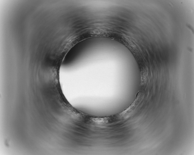 X0000094360187200711021517
