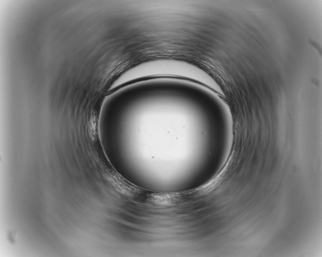 X0000094360190200711021517