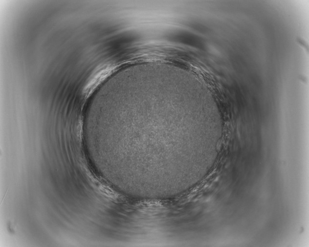 X0000094360194200711021516