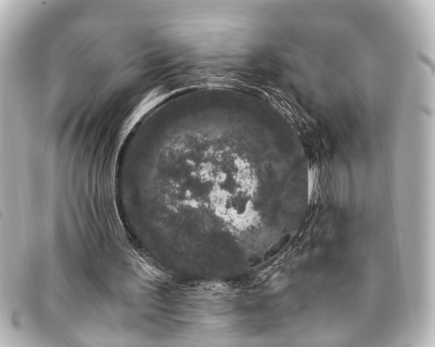 X0000094360195200711021516