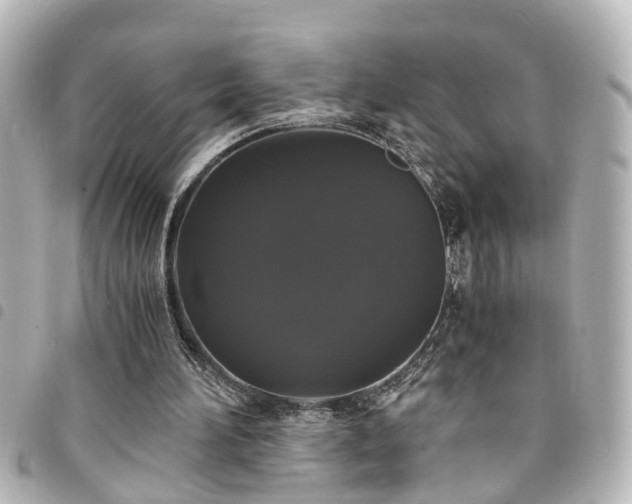 X0000094360196200711021516