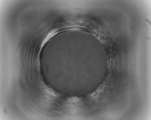 X0000094360198200711021516