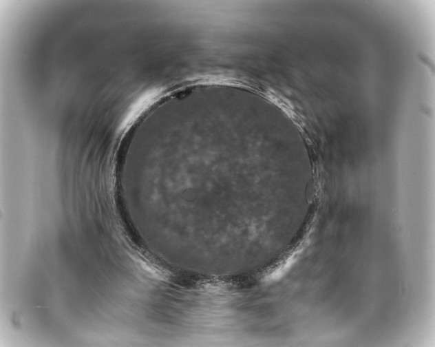 X0000094360199200711021516