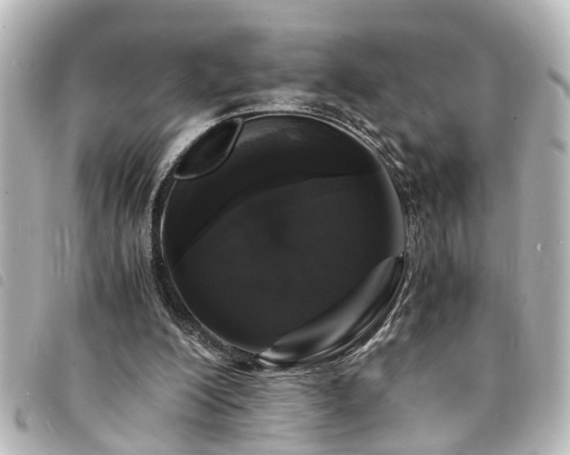 X0000094360200200711021516