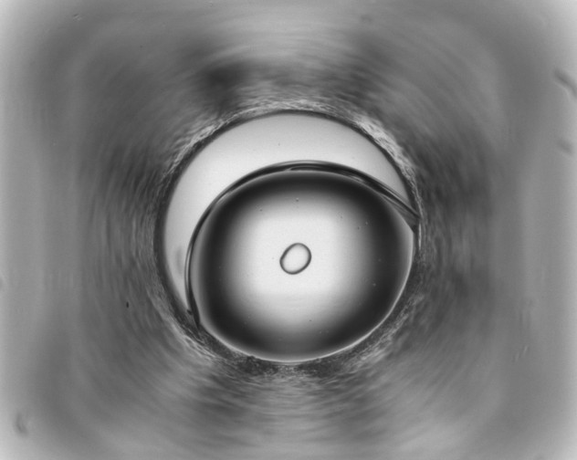 X0000094360201200711021516