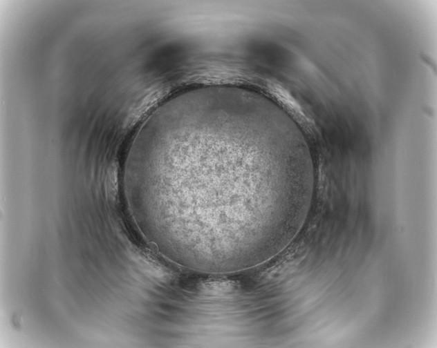 X0000094360202200711021516
