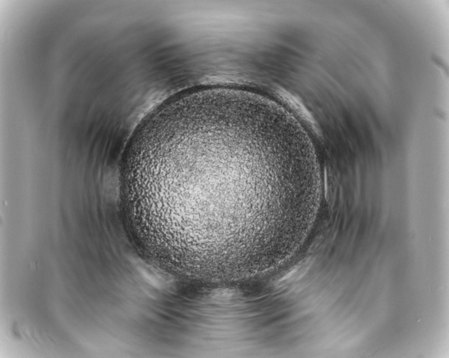 X0000094360204200711021516