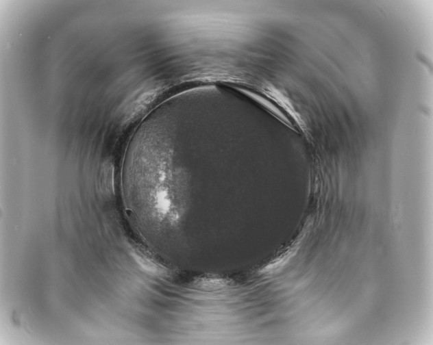 X0000094360205200711021516