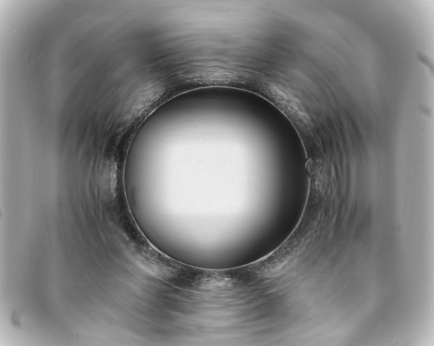 X0000094360206200711021516