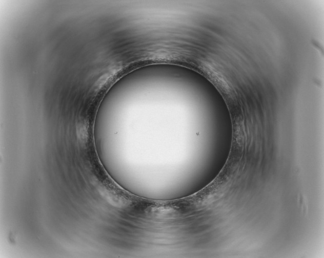 X0000094360208200711021516