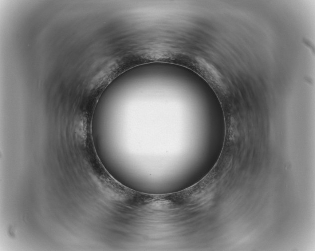 X0000094360210200711021516