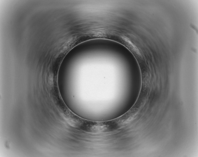 X0000094360213200711021516