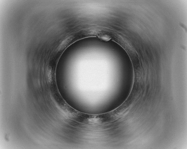 X0000094360216200711021516