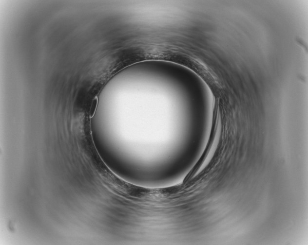 X0000094360217200711021516