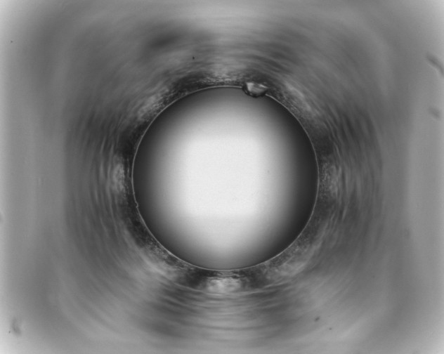 X0000094360220200711021516