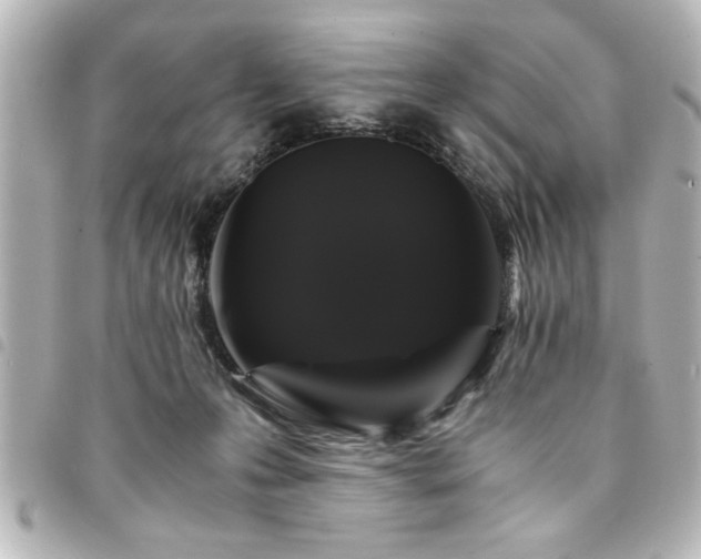 X0000094360223200711021516
