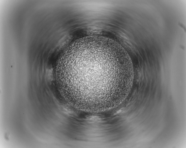 X0000094360224200711021516