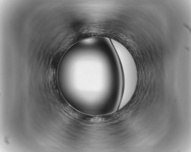 X0000094360225200711021516