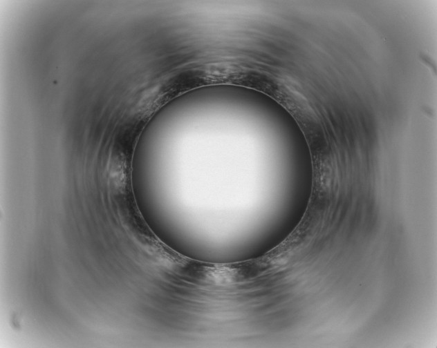 X0000094360226200711021516