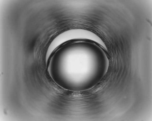 X0000094360228200711021516