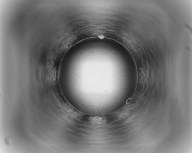 X0000094360230200711021516