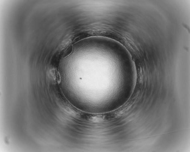 X0000094360232200711021516