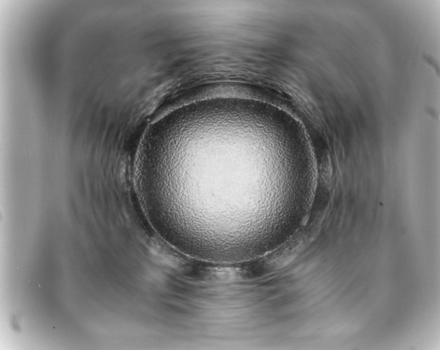 X0000094360233200711021516