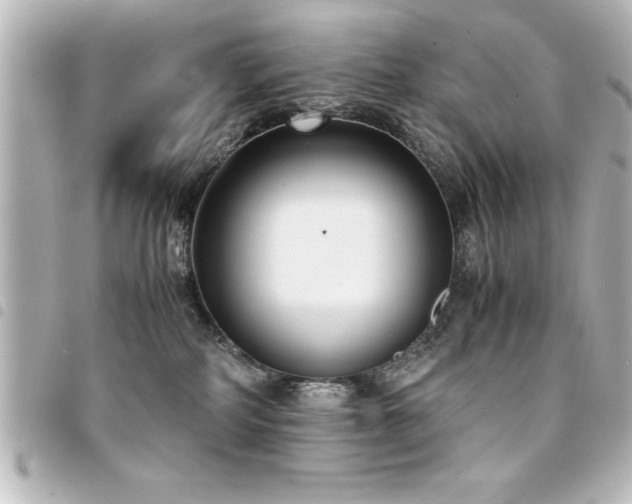 X0000094360234200711021516