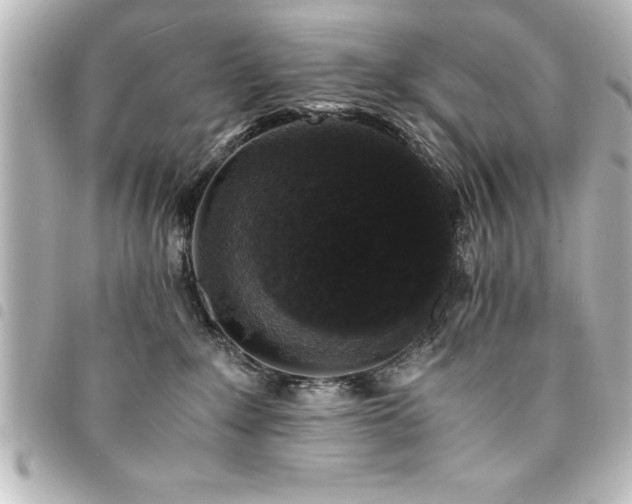 X0000094360235200711021516