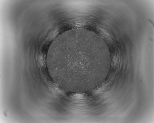 X0000094360236200711021516
