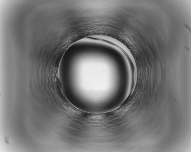 X0000094360237200711021516