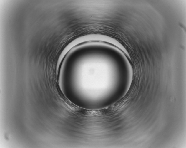 X0000094360239200711021516