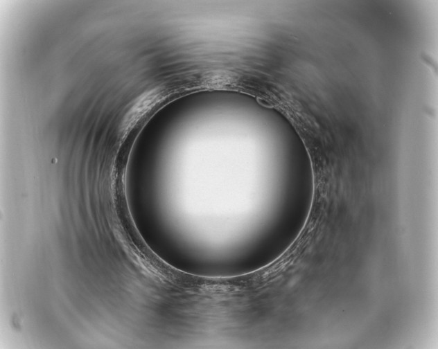 X0000094360242200711021515
