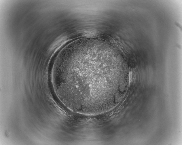 X0000094360243200711021515