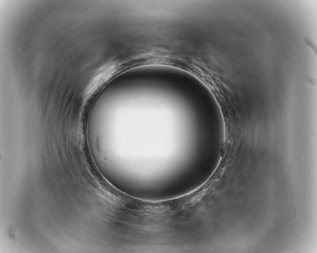 X0000094360245200711021515