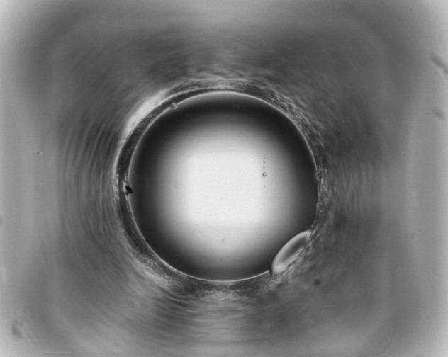 X0000094360246200711021515