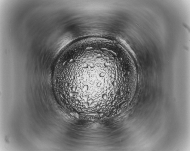 X0000094360249200711021515