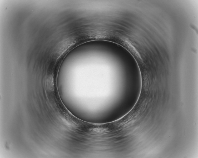 X0000094360251200711021515
