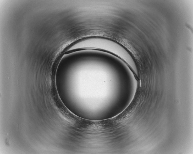 X0000094360252200711021515