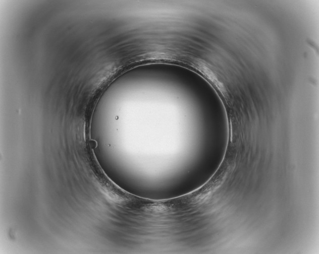 X0000094360253200711021515