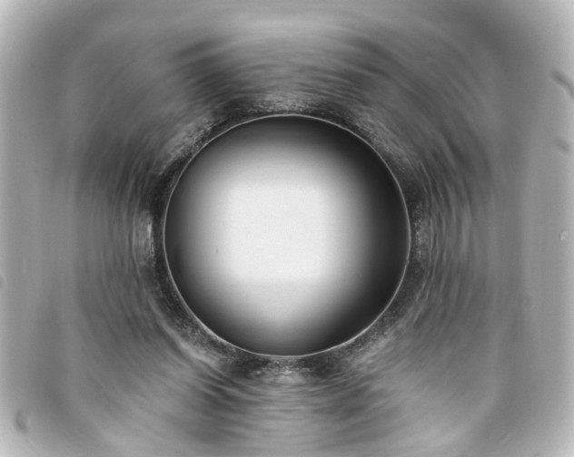 X0000094360254200711021515