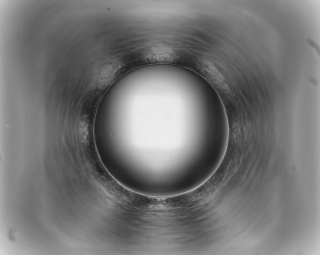 X0000094360259200711021515